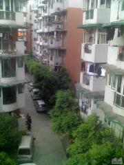 四季春天 3室2厅 南