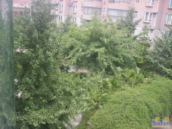 格林花园实景图