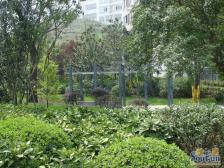 南坪 六公里 苹果城精装一房 拎包入住 业主诚心出售