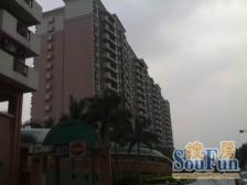 石井商圈 保安宿舍 东安花园 大四房 业主诚售