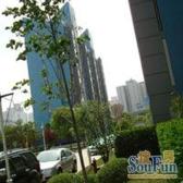 龙华保利星苑3室2厅2卫+小高层+师三+万科CBD