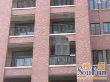 产权清晰 无抵押 电梯房,业主诚意