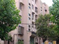 笋盘真光九街坊,南北通正气大两房,14号线真光路200米看房