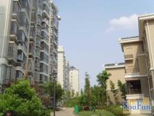 DJ代理,南洋瑞都,中间楼层,采光好,视野好