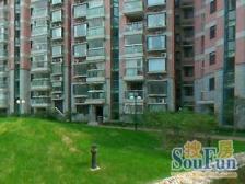 强生二期小洋房,一梯两户电梯中区,标准的板式南北通格局