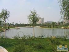 电梯房,家具全送 现场实勘 新上房源