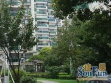 真情公寓3室东朝向868.00万元/套出售