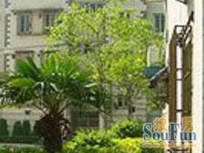 ?????满五 V一,视野开阔,优质楼层