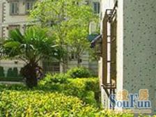 ?????满五 V一,视野开阔,优质楼层