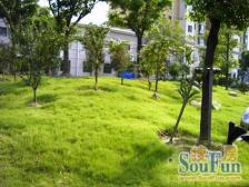 天山星城2室东北朝向948.00万元/套出售