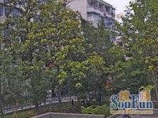 上ligong新上一室户+美丽家园小区+近地铁