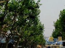 全明 一房一厅朝南户型 采光充足 房子诚意出售