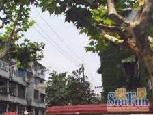 南北朝北 一梯三户 花园小区