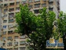 新上好房一室半朝南带阳台,小区中间位置中间楼层。