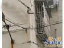 凉城公园新上花园房!双花园一楼,边套全明,看房随时