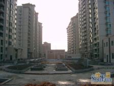 绿洲康城亲水湾(中央区) 2室1厅 南