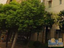 中环旁非顶楼小两房,奶油风两年装修