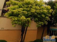 近地铁,无抵押 产权清晰,采光好 店长力推