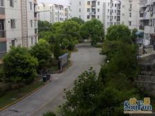 新上优质三好房,好楼层+好位置+好户型,颛桥万达旁