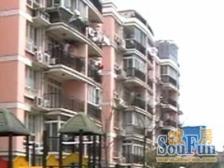 复星新苑 2室0厅 南 北