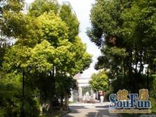 紫竹轩5室2厅南北
