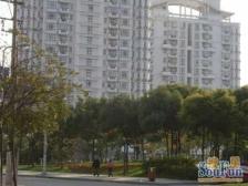 电梯高楼层。精装修。满5年税费少。大三房诚意出售