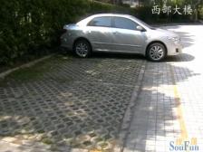 西部大楼 3室2厅 南 北