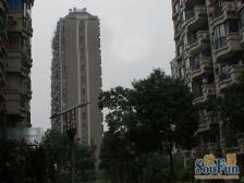 杨浦区五角场正文花园(南区)3室2厅