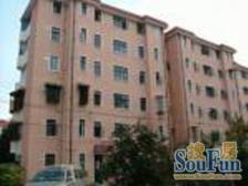 新上房源 5地铁9/10/12/ 嘉闵/机场 楼层好 配套佳