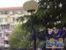 新上房源 5地铁9/10/12/ 嘉闵/机场 楼层好 配套佳