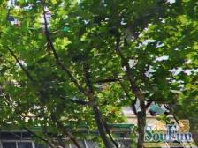 一站可达静安寺 +小户型一房一厅+精装修3年+业主诚意