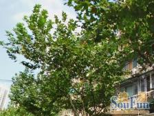 老静安双地铁3房,正南全天有阳光 低总价诚售