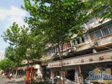 曹家渡·晋元里·1室·0厅