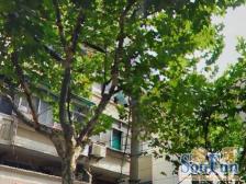 晋元里 2室1厅 北