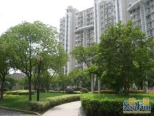 楼王位置,地铁交通方便