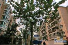 交通便利,居家装修,房型正气,产证在手