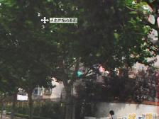 真如副中芯,中环内抄低好房,满五一套,价格可谈