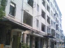 曹杨五村(南杨园) 1室0厅 东