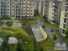 近零号湾+近地铁+中间楼层+采光好+业主诚意出售