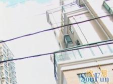 新华路·凯旋都市花园·2室·2厅