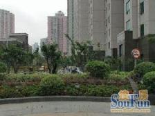 海洲丽园 2室1厅 南