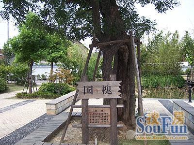 小区相关图