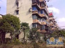 中环内、近地铁,电梯房,大融城,同济三甲医院,