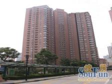 小区央座大复式 带地下室值得一看!