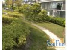 金华苑(北)复式 送超超超大露台 位置超赞 晋元在