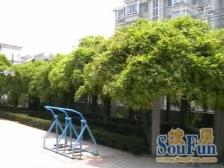 虹景苑 2室1厅 南 北