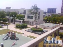 新浦江城(江桦路400弄) 3室2厅 南 北