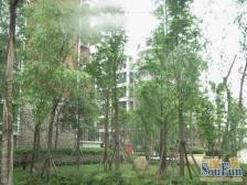 人民广场 帝琴花园四房66.8万