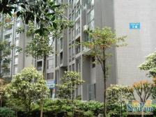 房子装修精致,正规一室一厅,看房方便 业主诚心出售