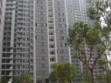 融侨 融侨苹果城二房90万